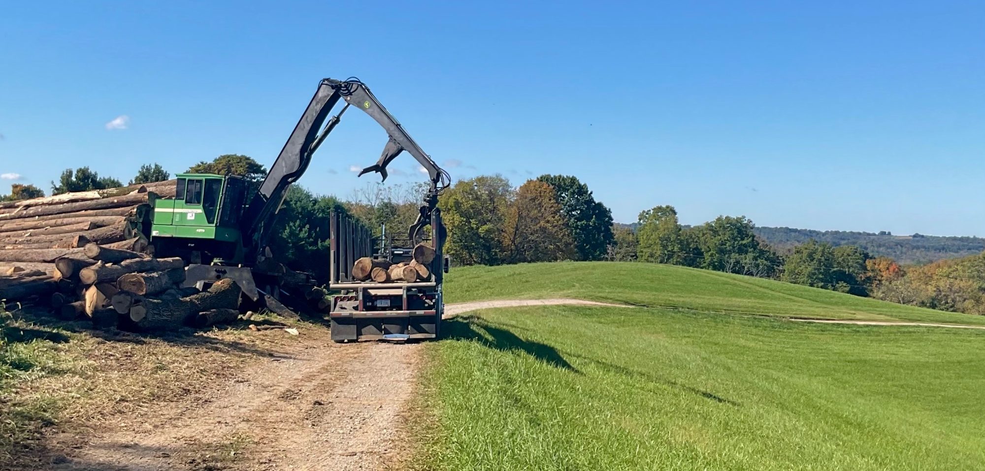 A loader stacking hardwood logs onto a truck at a landing beside a hayfield